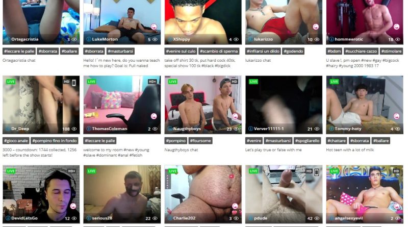 The best 7 gay chat and cam rooms of the moment